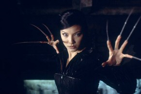 [Kelly Hu jpg - click to enlarge]